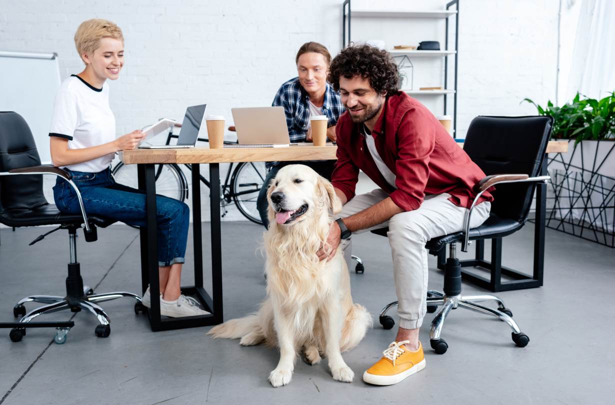 Hunde im Büro – Stressreduzierung auf natürliche Weise